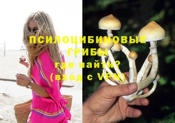 эйфоретик Алзамай