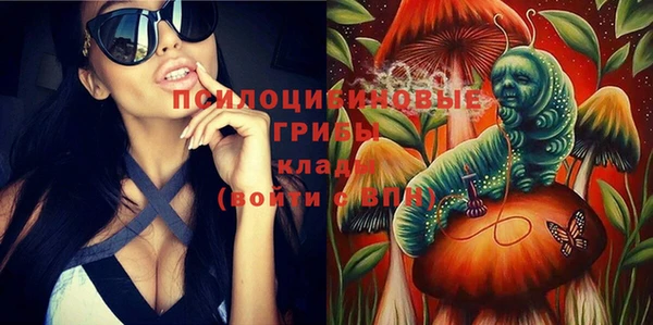 гидропоника Алексеевка