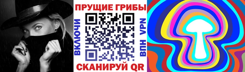 Галлюциногенные грибы MAGIC MUSHROOMS  что такое   Берёзовский 